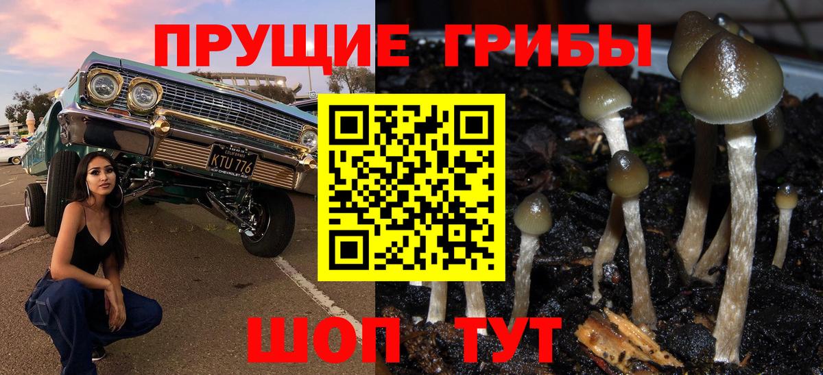 Галлюциногенные грибы GOLDEN TEACHER Павлово