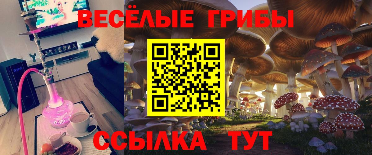 Псилоцибиновые грибы Psilocybe  Вход с VPN  Павлово 